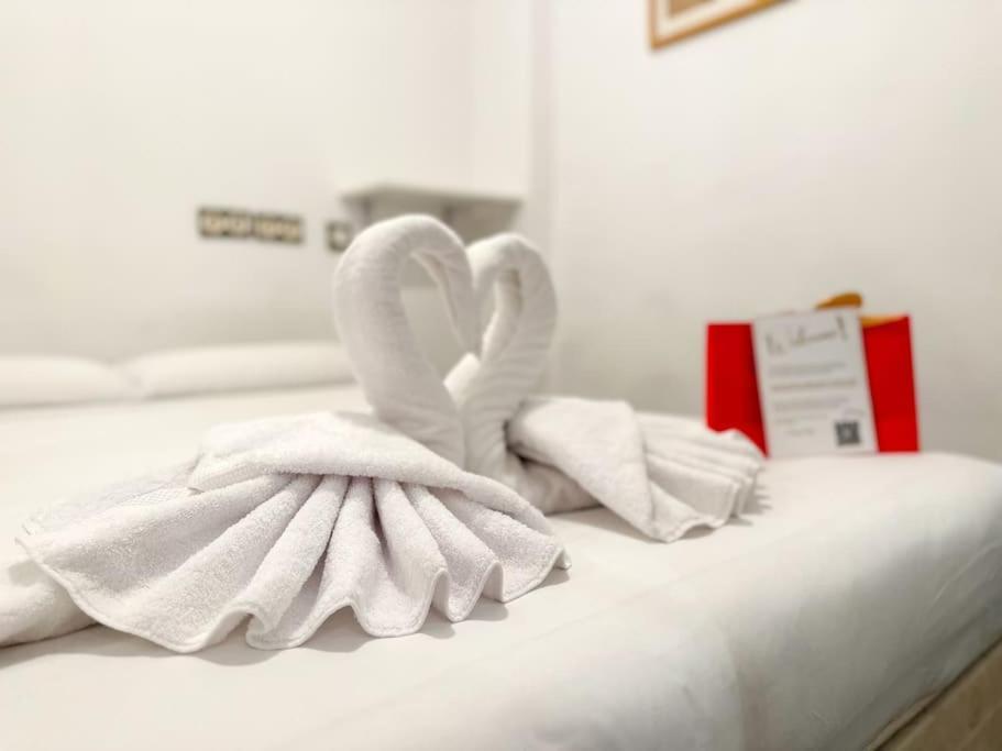 Apartamento Urbano Y Refrescante Estudio En Sotano *